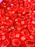 Red and Gold kitty
